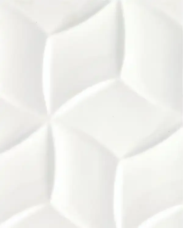 GSP007-P013