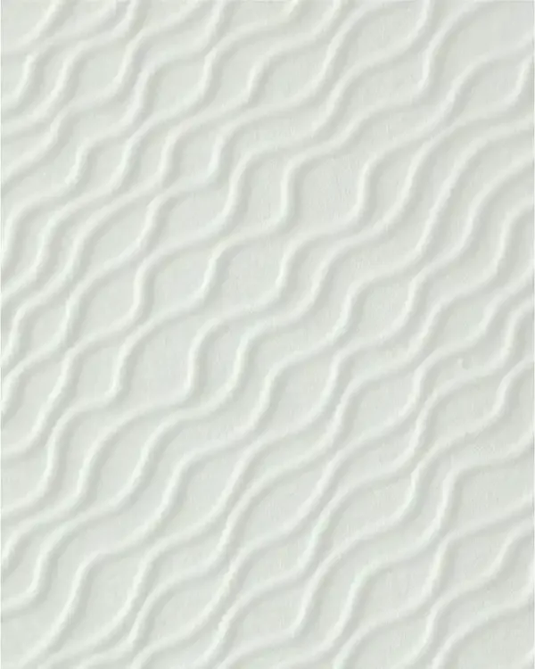 GSP004-P02