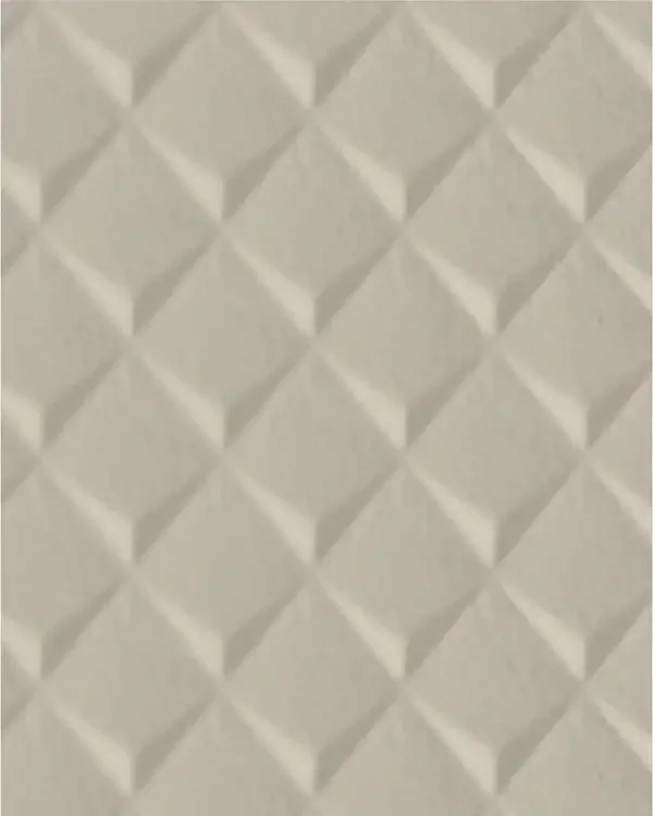 GSP012-P011