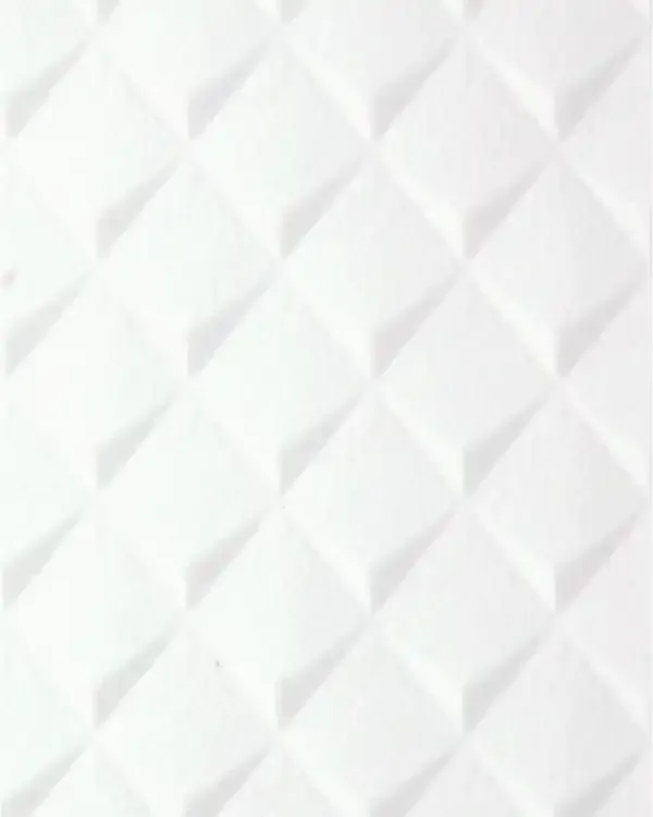 GSP012-P013