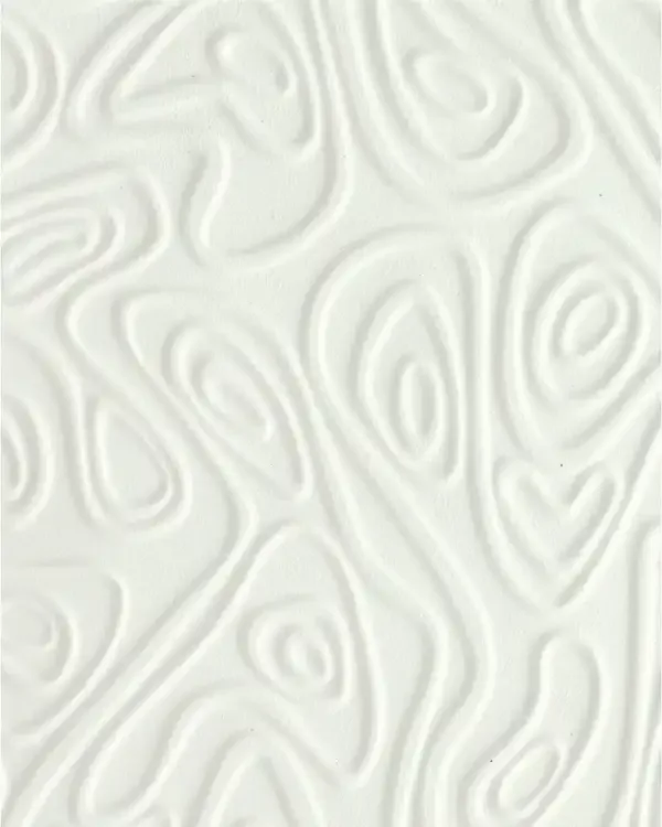 GSP006-P02