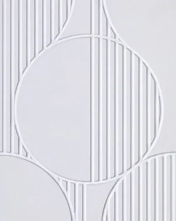 FS011-P013