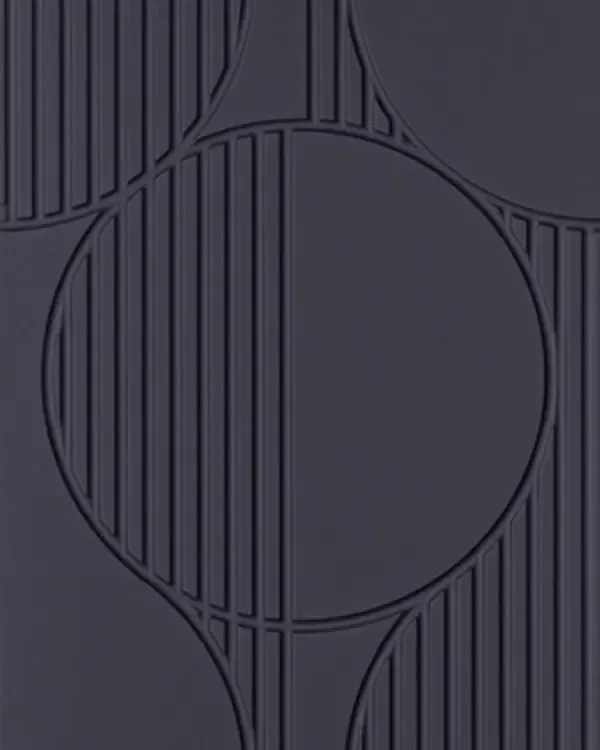 FS011-P09
