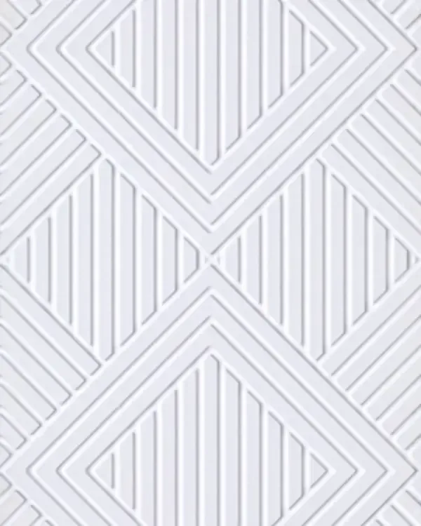 FS007-P013