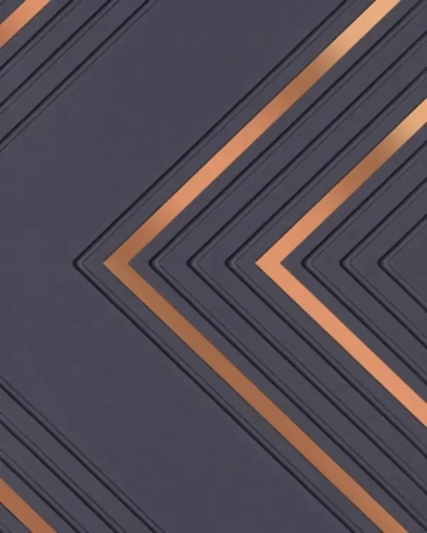 FS006-P009