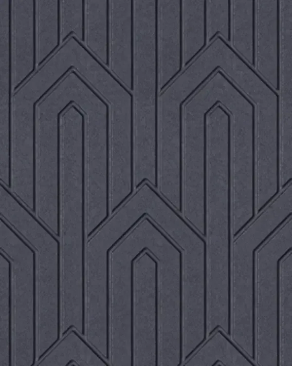 FS003-P01